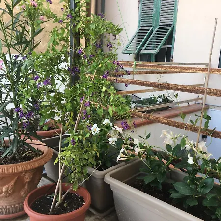 Con Grande Terrazza Sul Mare * Alghero
